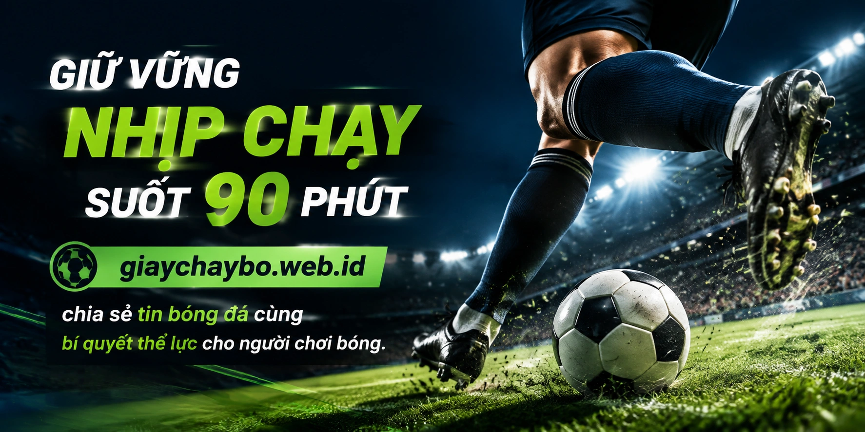 Bóng đá Việt Nam Pro - ảnh 1