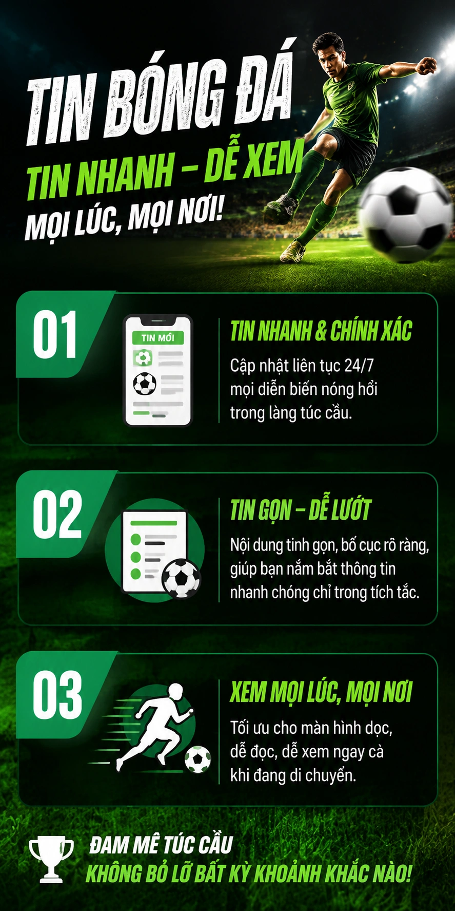 Bóng đá Việt Nam Pro - ảnh 4